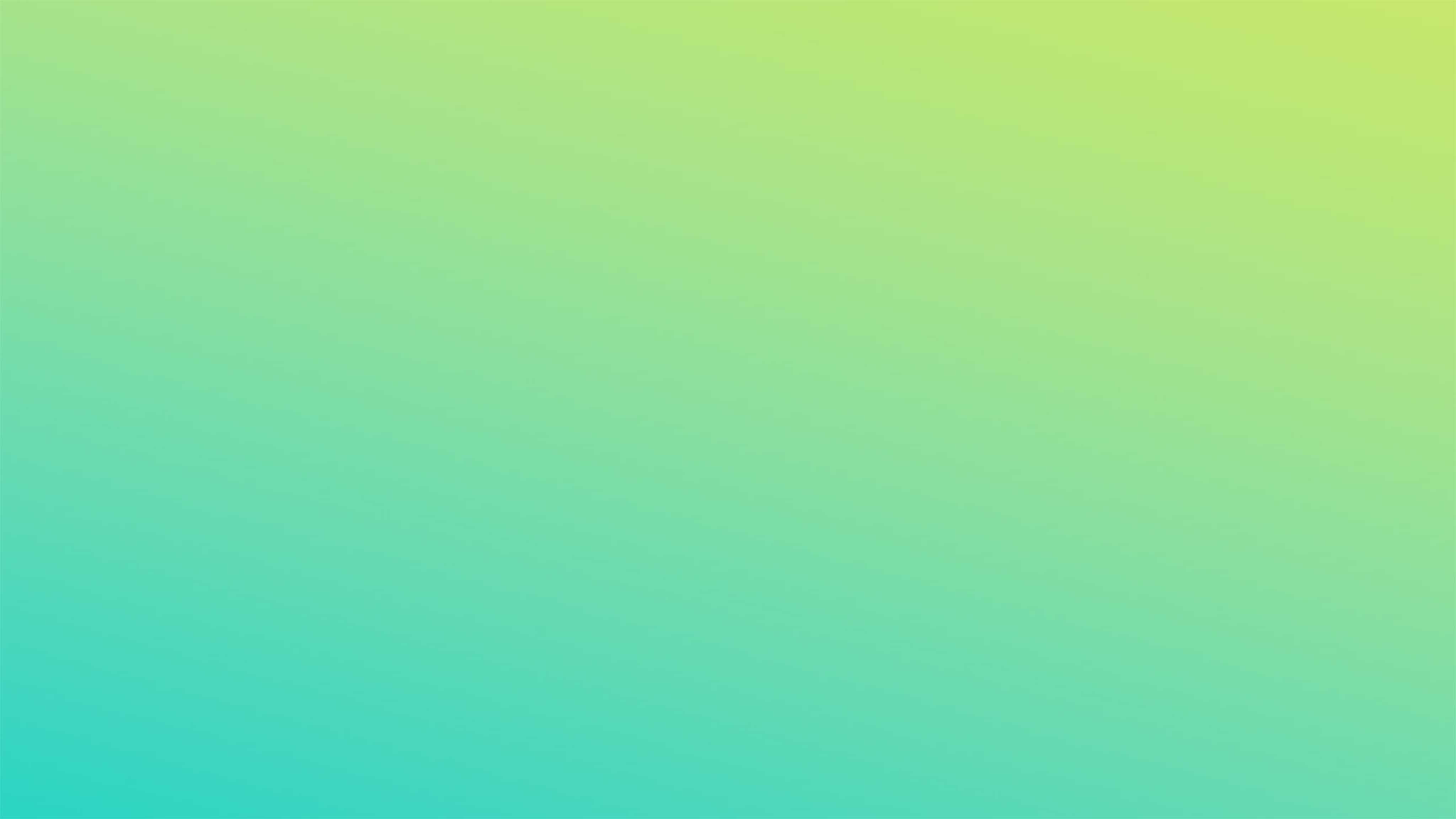 Sea-Doo banner